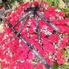 IMG_20250411_104200