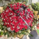 IMG_20250411_104340