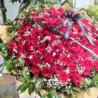 IMG_20250411_104435