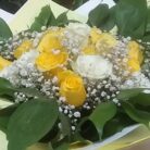 IMG_20250512_020627
