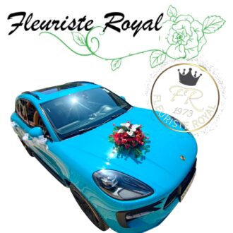 voiture dz